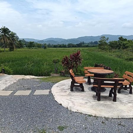 Damai D Homestay Kangar Bagian luar foto